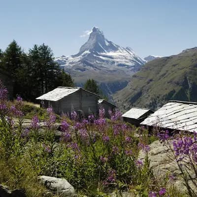 Fiduciaire Digitale e-FID Efid | DAS Finance SA — Av. Krieg 7, 1208 Genève, Suisse