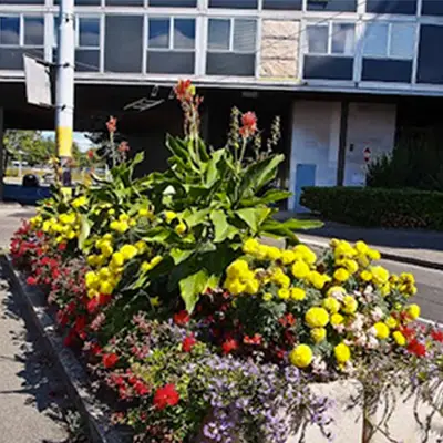 Photo de Centre médical du Lignon