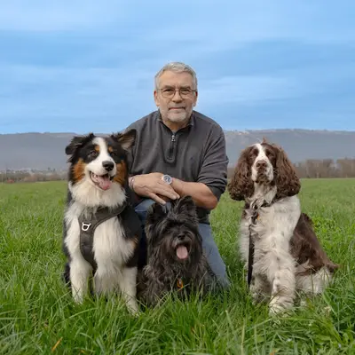 Photo de DPL-K9 Détection canine punaises de lit