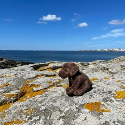 Photo de Dr Céline Barro-Rossier
