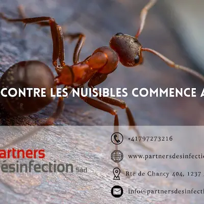 Photo de Partners Desinfection | Votre spécialiste en Nuisibles